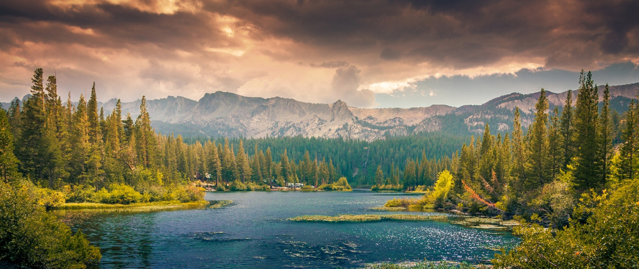 Web漏洞扫描工具