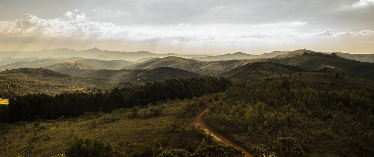 ddos压力在线测试平台