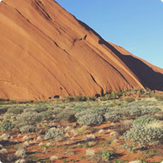 安全无毒可信的ddos在线压力测试平台