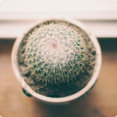 办公自动化的网站ddos隐藏源ip