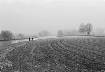 ddos服务器攻击手段