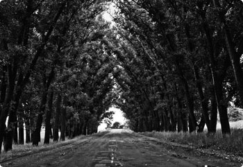 替您多考虑的DDOS攻击平台