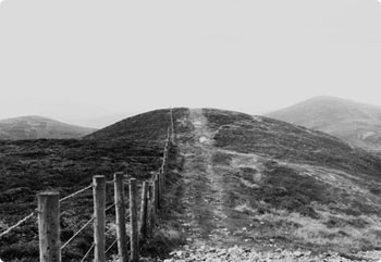 cc攻击免费网页版